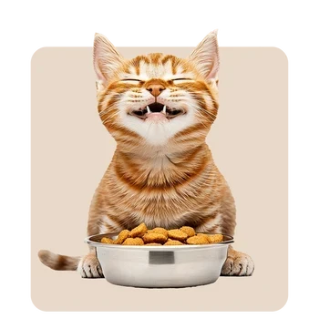 Cat Bowls & Fountains