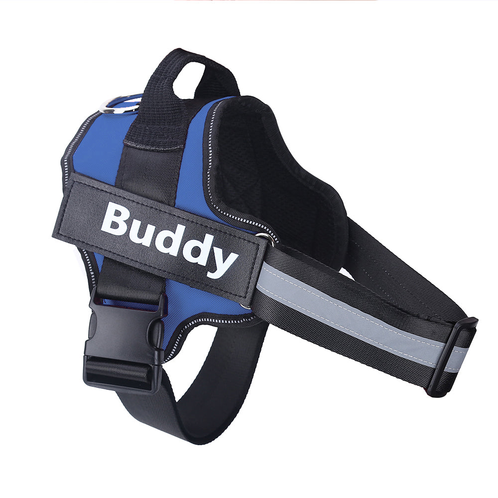 Complete Walk Kit