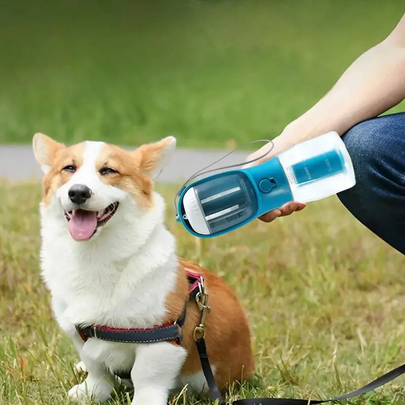 Complete Walk Kit