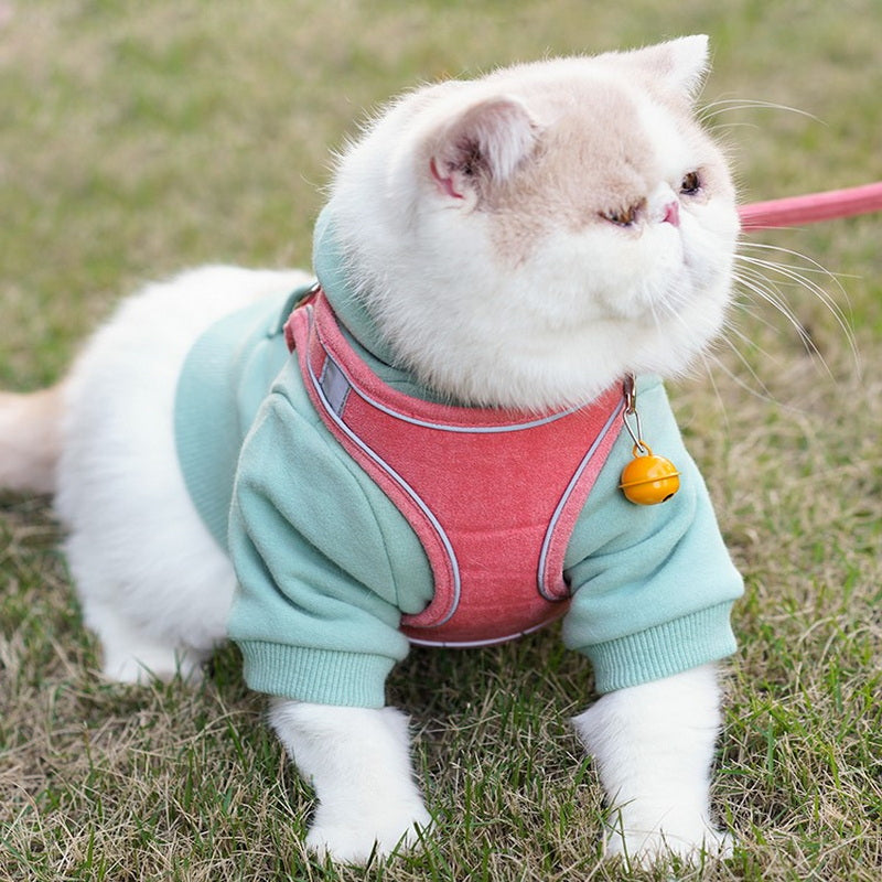 Harnesses