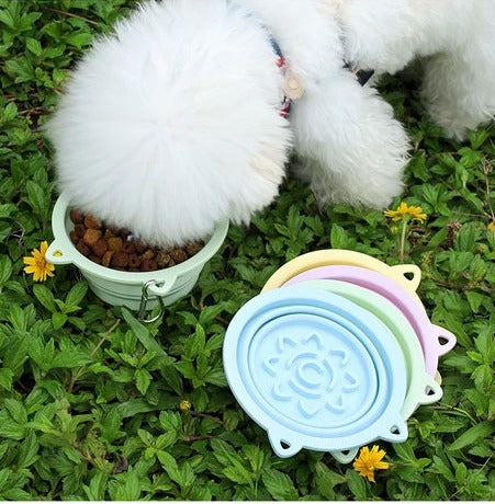 Collapsible Travel Bowl