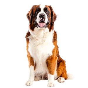 Giant Breeds